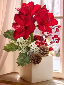 Amaryllis im Topf