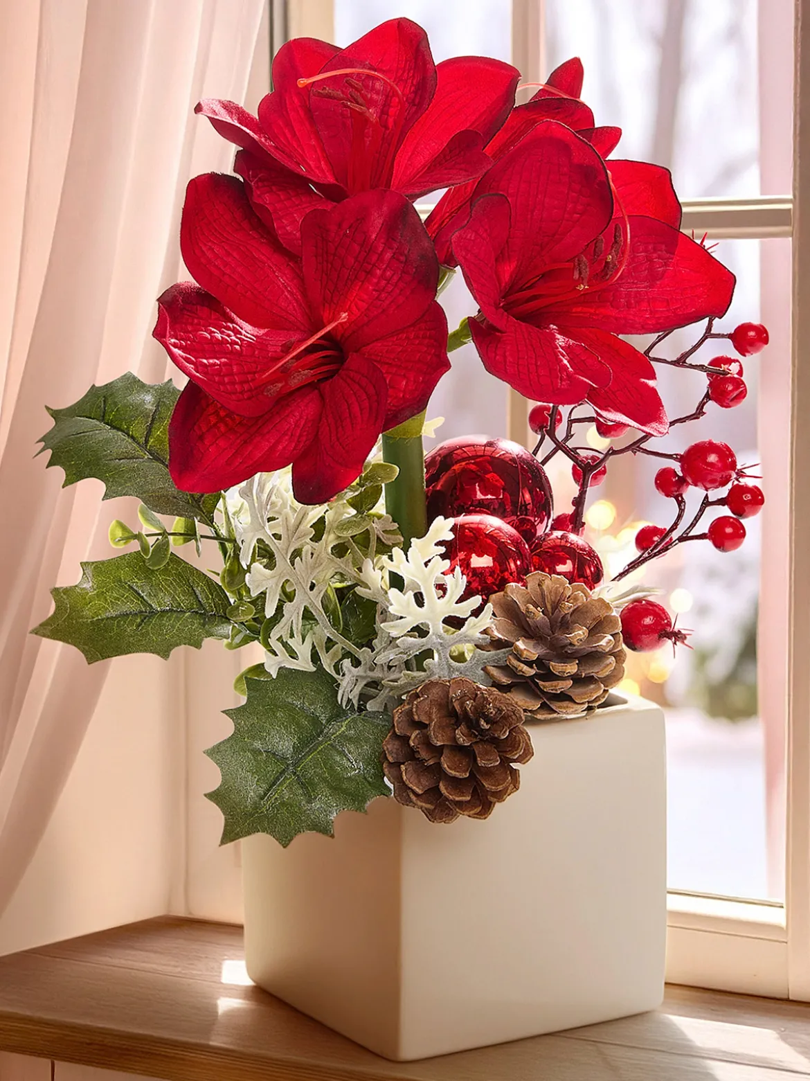 Amaryllis im Topf