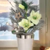 Arrangement „Christrose“