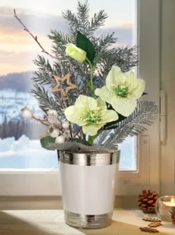 Arrangement „Christrose“