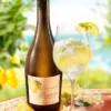 BIO Limoni Spritz