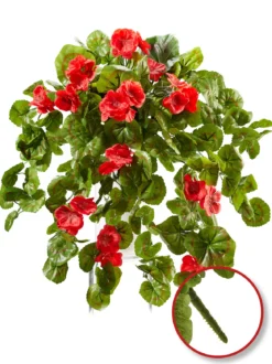 Geranien-Hänger „Rubina“, rot