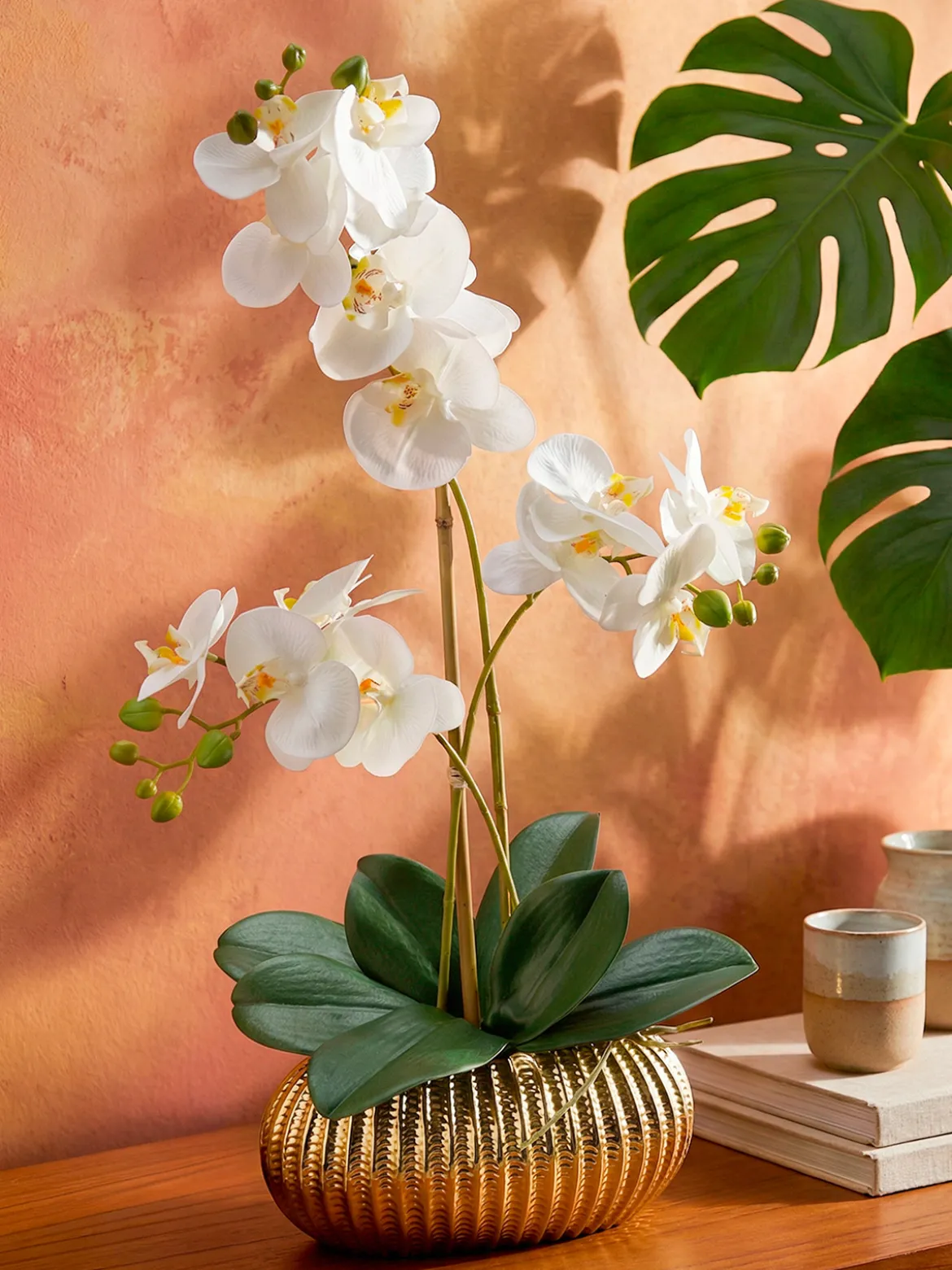 Orchidee in Keramikschale