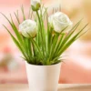 Rosen-Arrangement im Topf