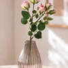 Rosenzweig „Eleganza“, rosa